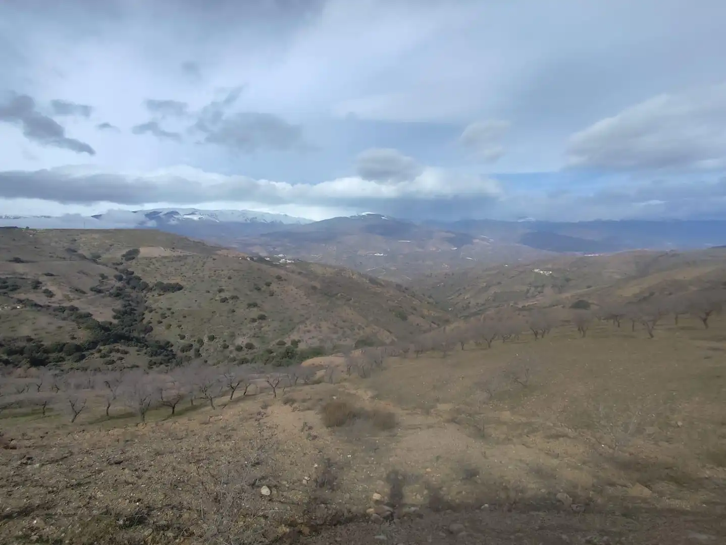 Finca rústica en venta en Cástaras
