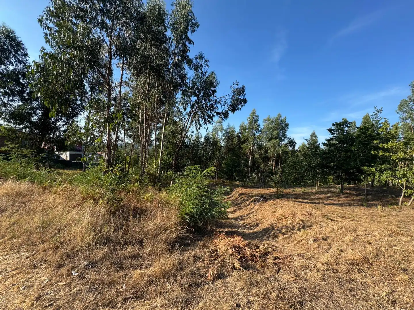 Lands and plots for sale in Lugar EIDO VELLO-BUDIÑO, imagen 4