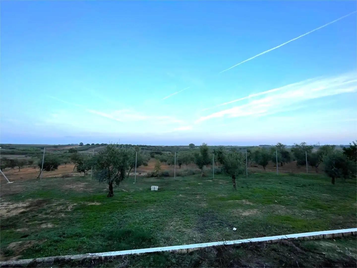 Terreni e lotti in vendita a Lucena del Puerto, imagen 7