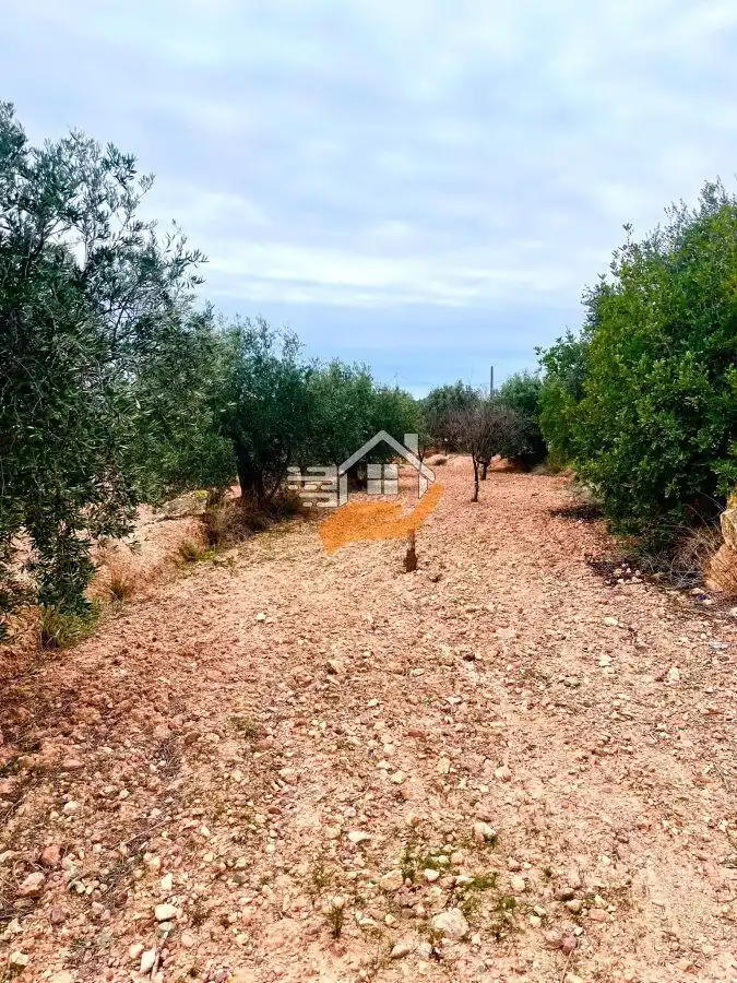 Residential land for sale in Vélez-Rubio, imagen 14