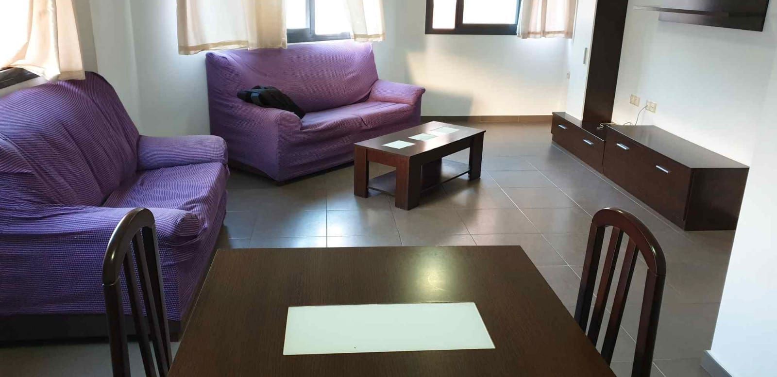 Sala d'estar de Pis de lloguer en Elche / Elx amb Moblat