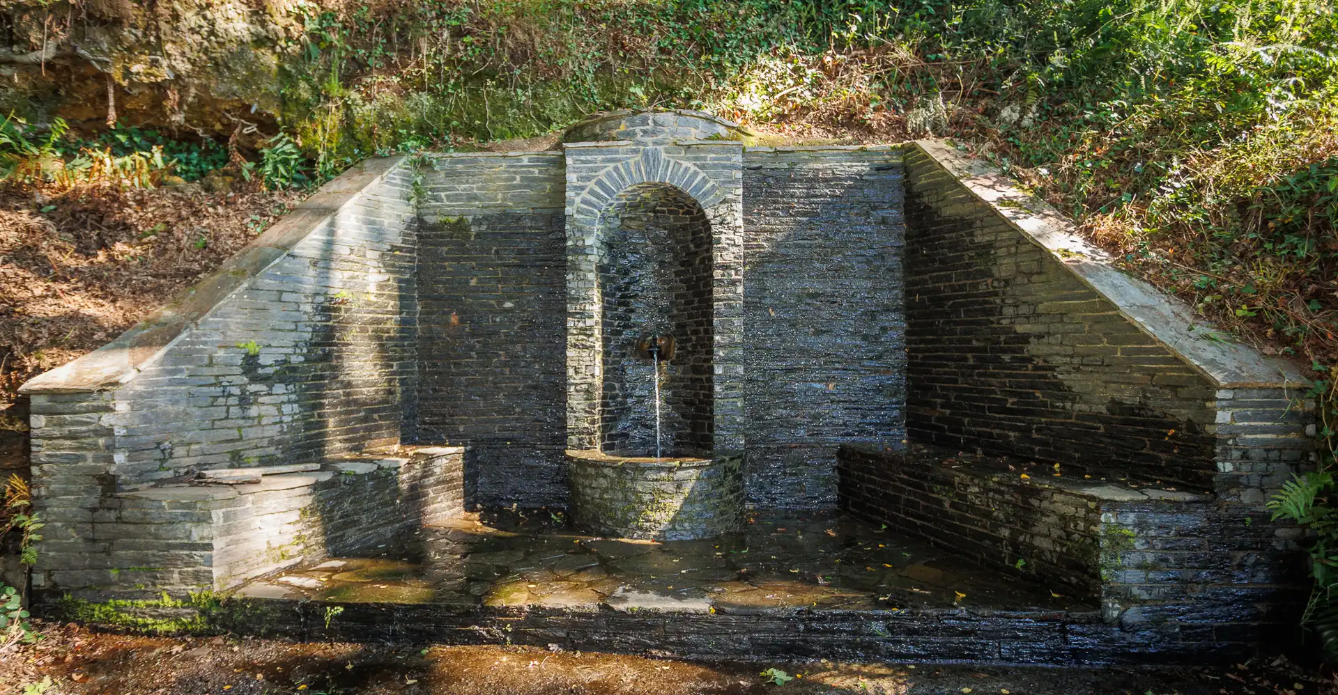 Jardí de Finca rústica en venda en Becerreá