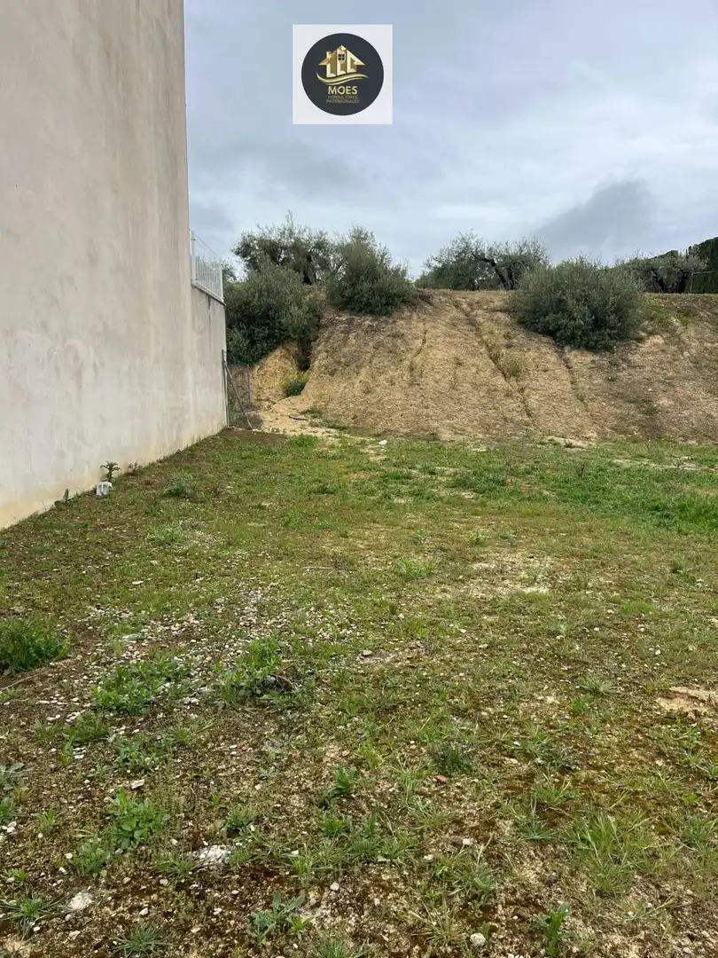 Lands and plots for sale in Torredonjimeno