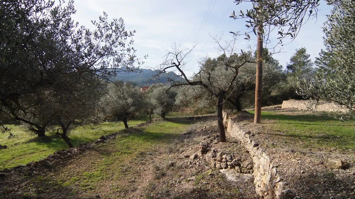 Terrain rustique à vendre à Rasquera, imagen 20