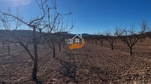 Finca Rúst. en venta en Yecla., immagine 5