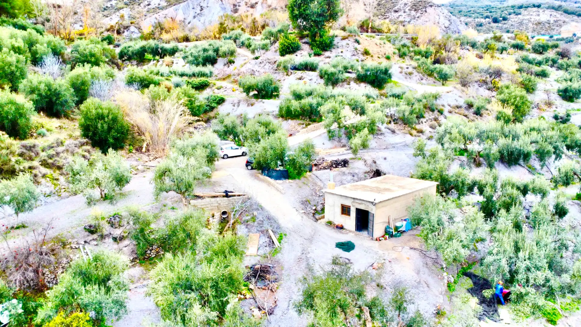 Terreni e lotti in vendita a Lugar Cortijo El Peñon, imagen 46