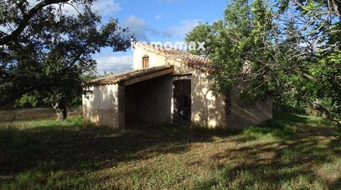 Immomax Ebre presenta finca rústica de 31.523m2 a solo 2 km de Aldover. La propiedad cuenta con una caseta diáfana de 28 m2 con bu