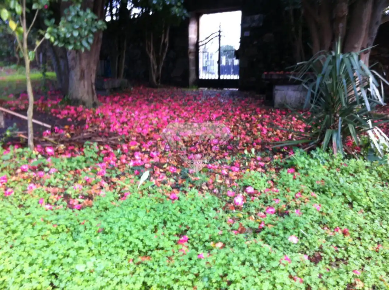 Jardín de Casa o chalet de alquiler en Vilagarcía de Arousa con Calefacción, Jardín privado y Terraza