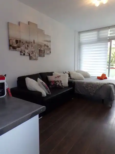 Studio mit Aufzug zur Miete in Calle Alemania 8, imagen 2
