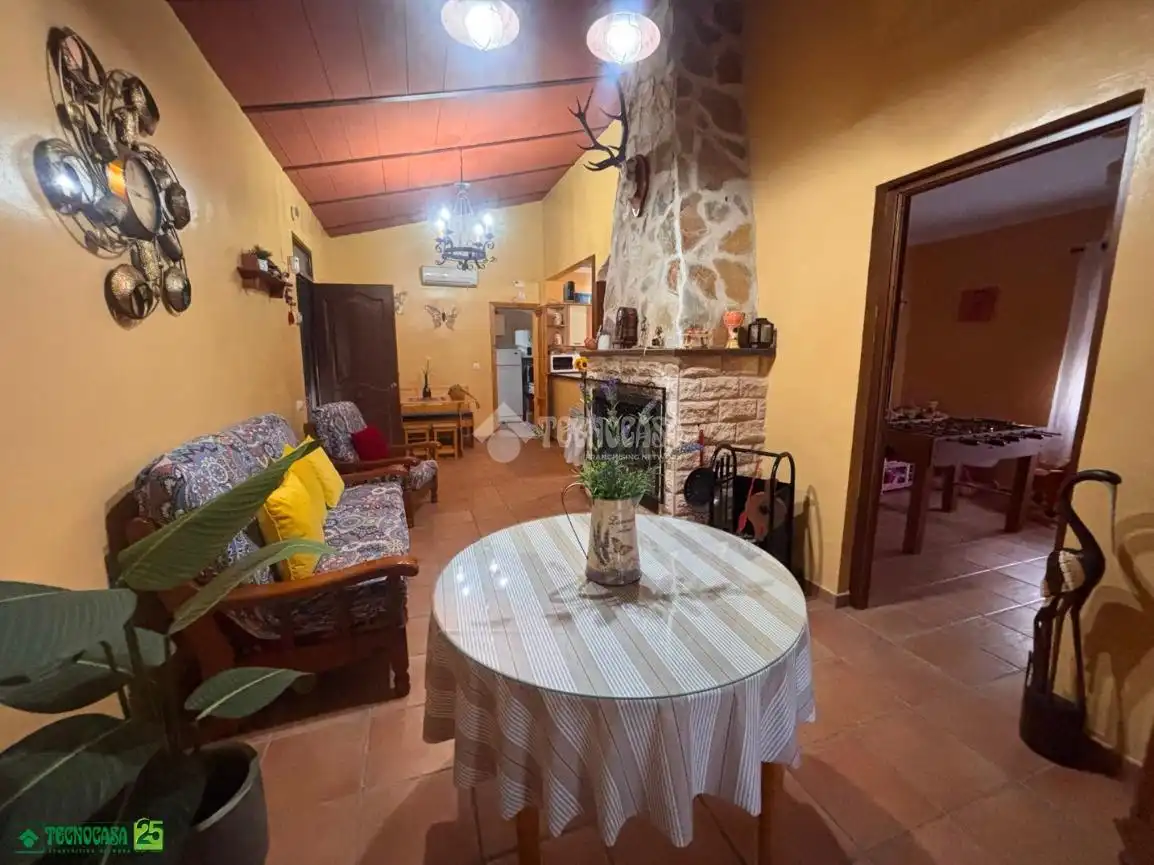 Sala de estar de Finca rústica en venta en Manzanares con Aire acondicionado