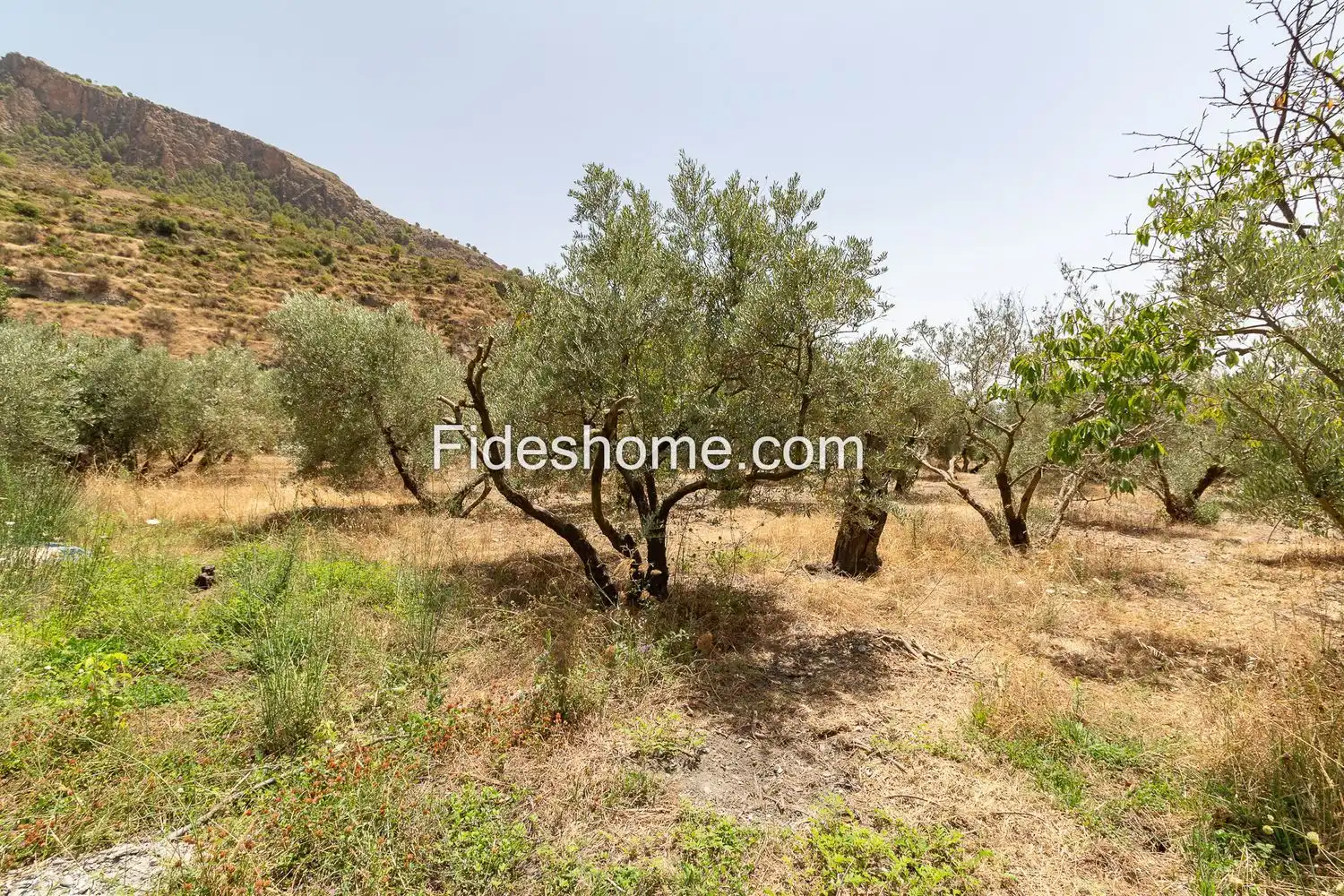 Terrain rustique à vendre à XFG6+CRG Nigüelas 0, imagen 6