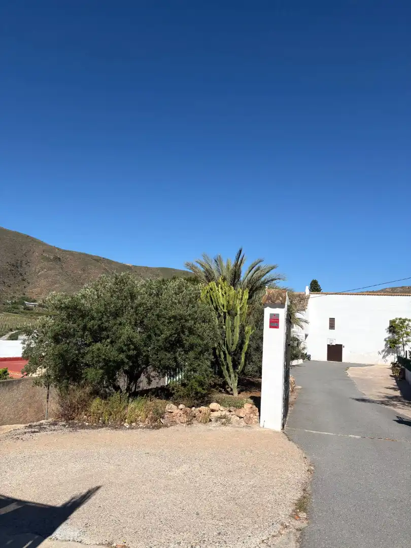 Vista exterior de Casa o xalet en venda en Berja amb Jardí privat, Terrassa i Moblat