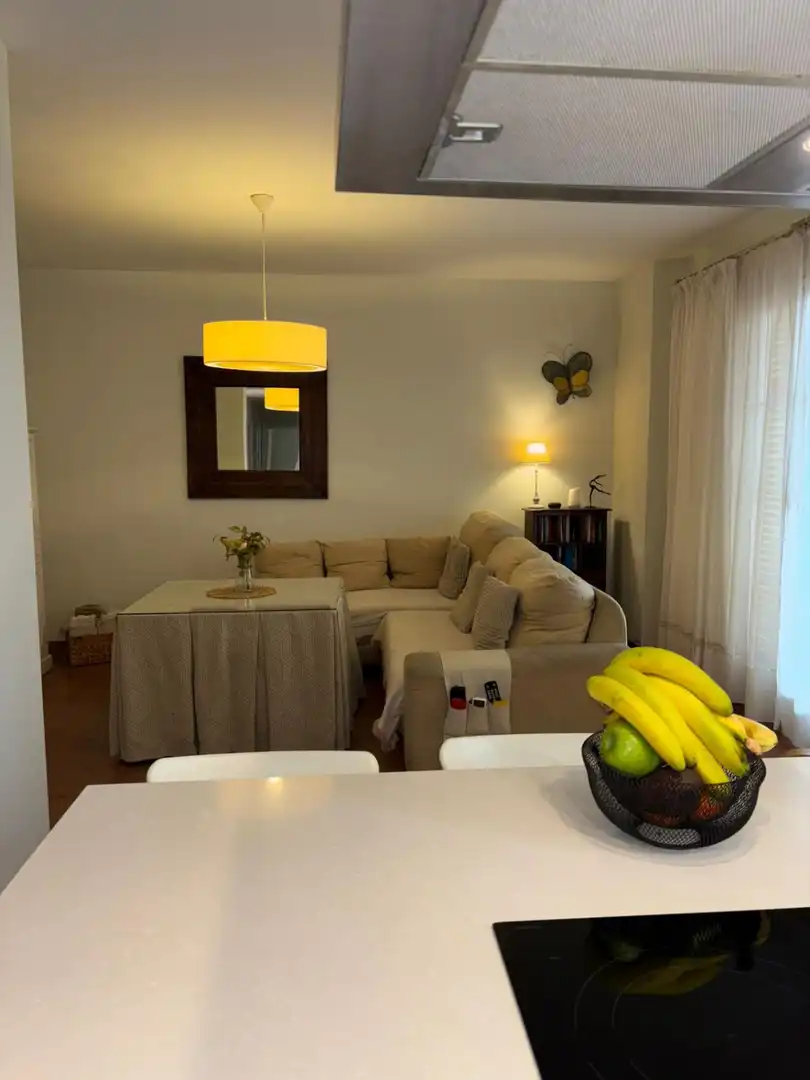 Sala de estar de Ático de alquiler en Alcalá de Guadaira con Aire acondicionado, Calefacción y Terraza