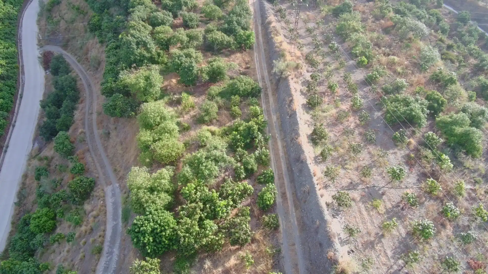 Terrain rustique à vendre à Vélez-Málaga ciudad, imagen 2