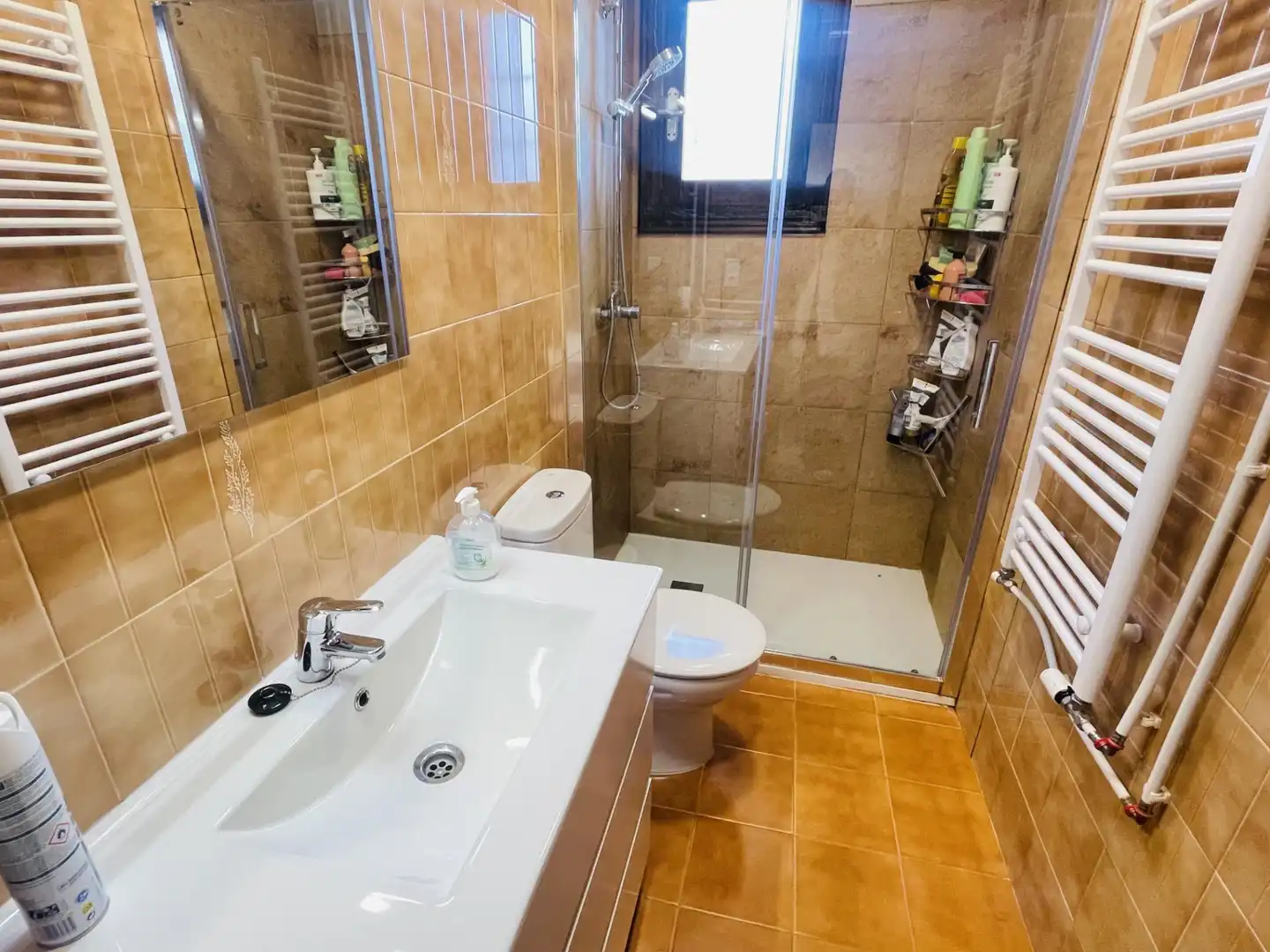 Bathroom of Houses for sale in Antequera  with Heating, Private garden and Swimming Pool