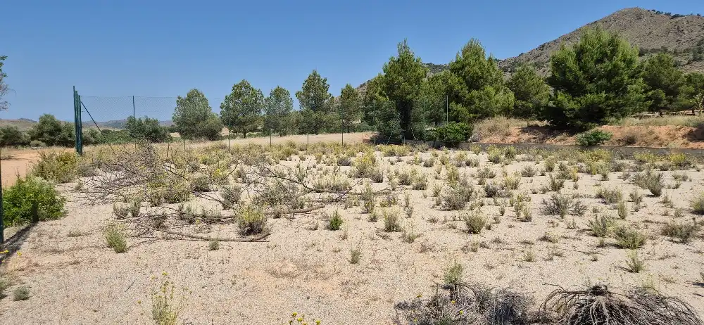 Terreno en venta en Hellín