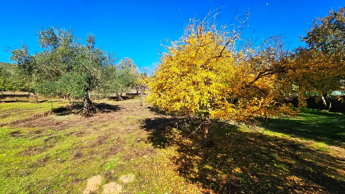 Casa rústica amb jardí en venda a Aracena, imagen 31
