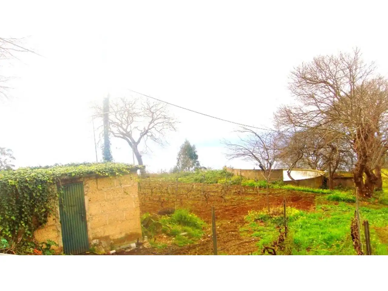 Finca rústica en venta en El Sauzal con Jardín privado