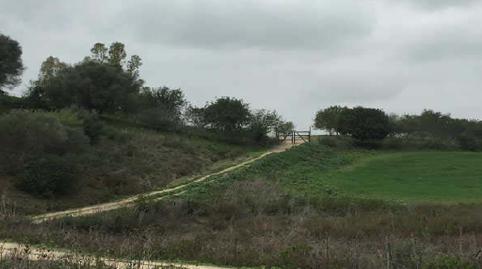Photo 2 of Land for sale in Sierra del Valle y la Dorada, Fr 15, San José del Valle, Cádiz