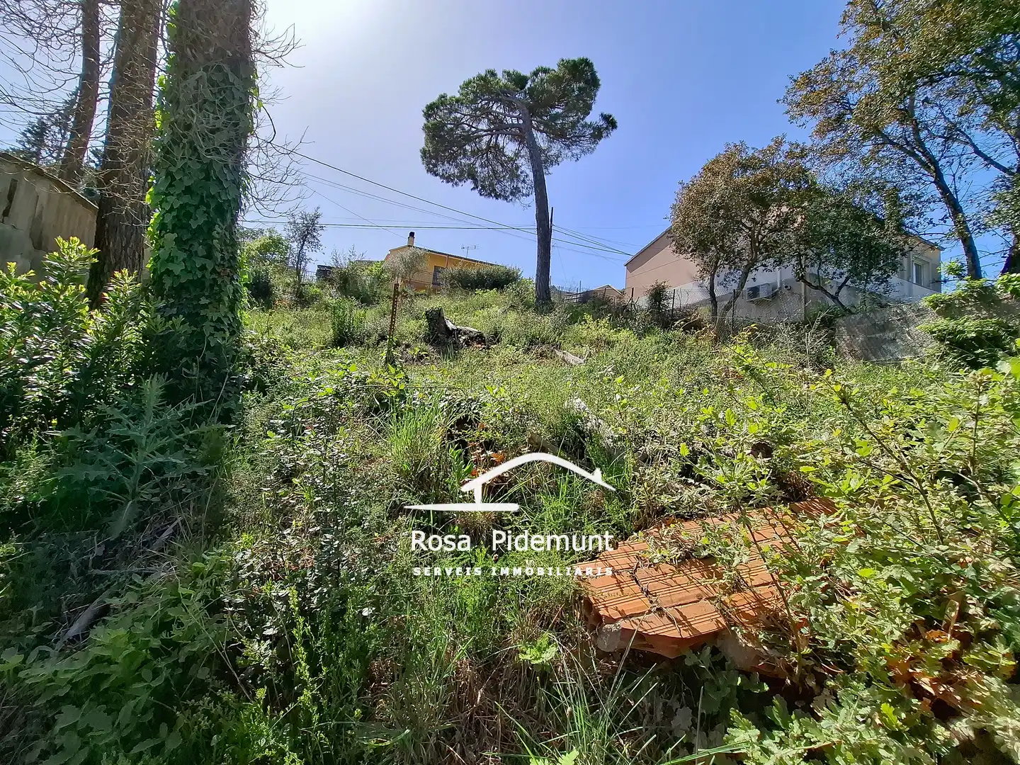 Wohnbaugrundstück zum Verkauf in Avinguda Arbres, imagen 8