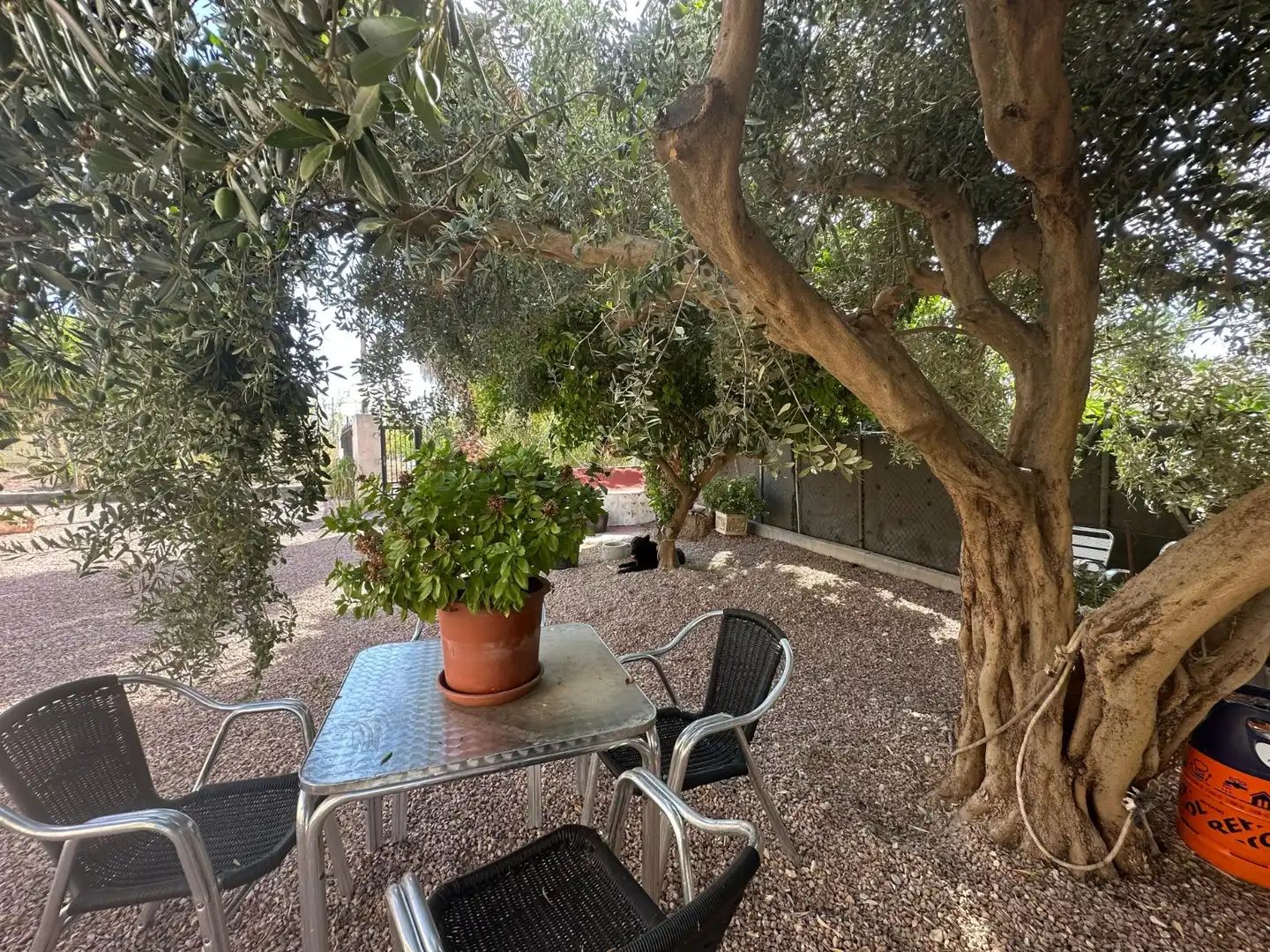 Casa con giardino in vendita a Crevillent, imagen 34