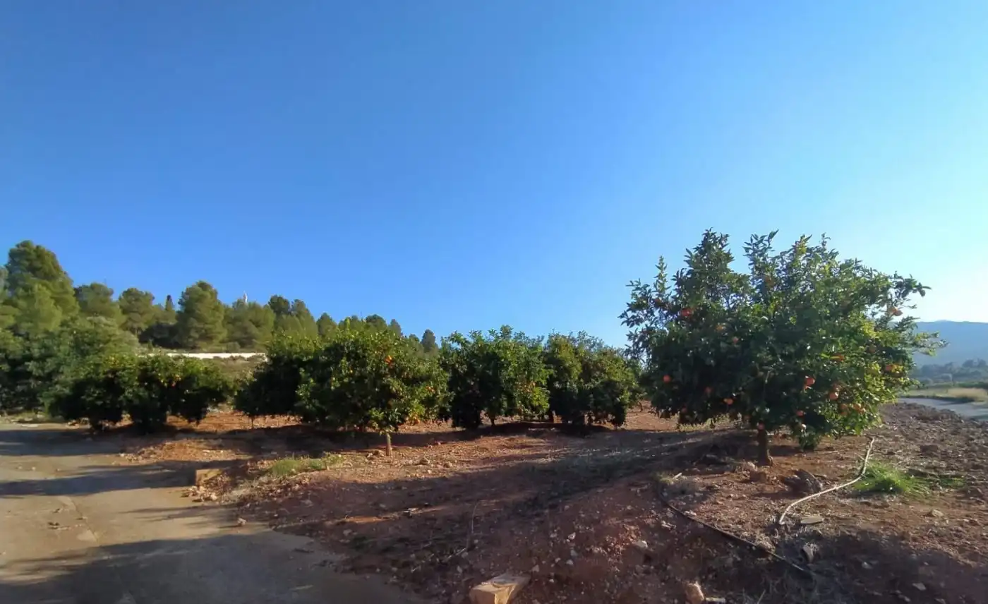 Terreno residencial en venta en Onda, imagen 4