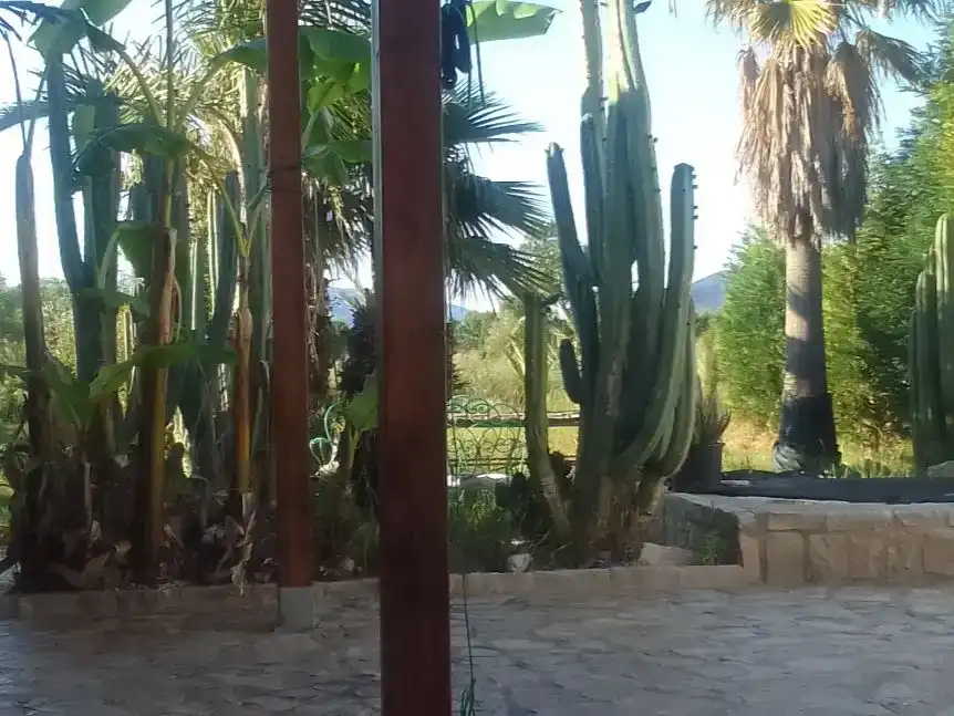Garden of Flat for sale in Useras /  Les Useres  with Air Conditioner, Private garden and Storage room