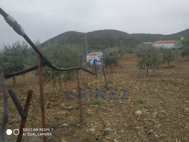 Terreny residencial en venda a Belmez, imagen 8