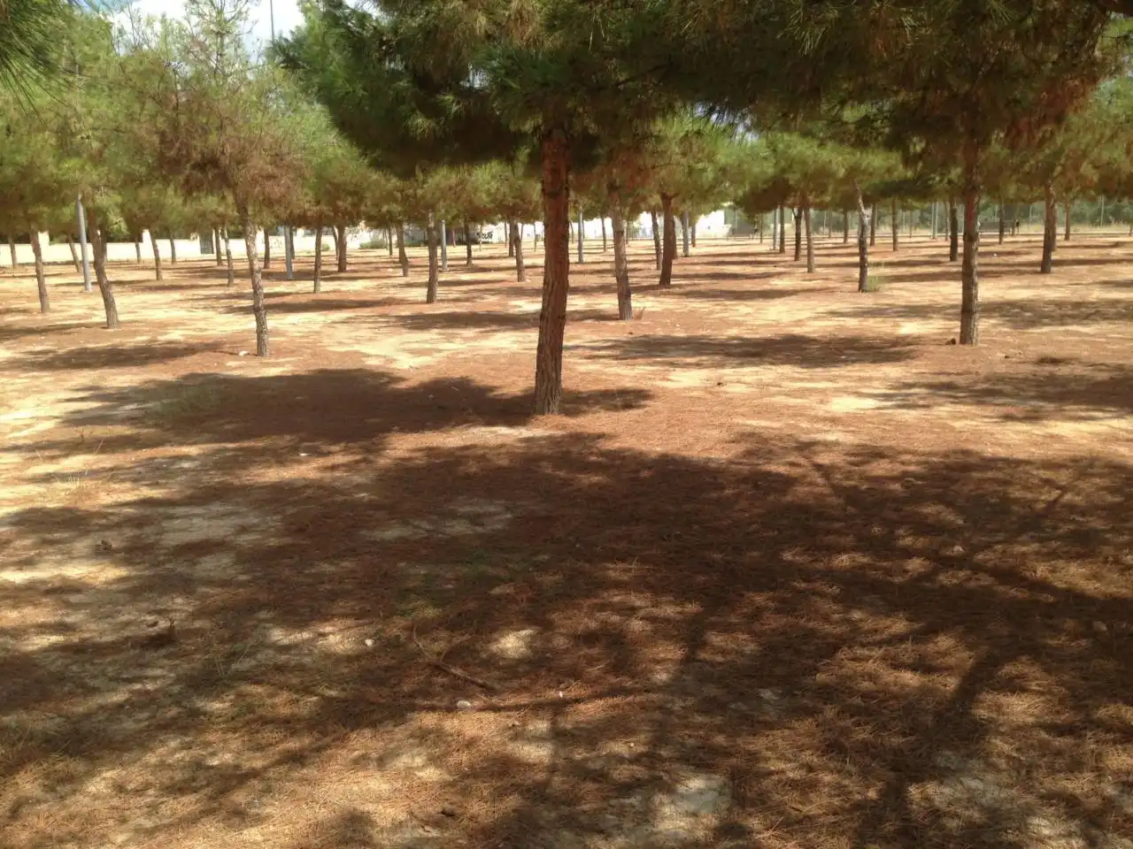 Residencial en venda a Avenida DE RONDA, 103, Campo Alto - Club de Campo