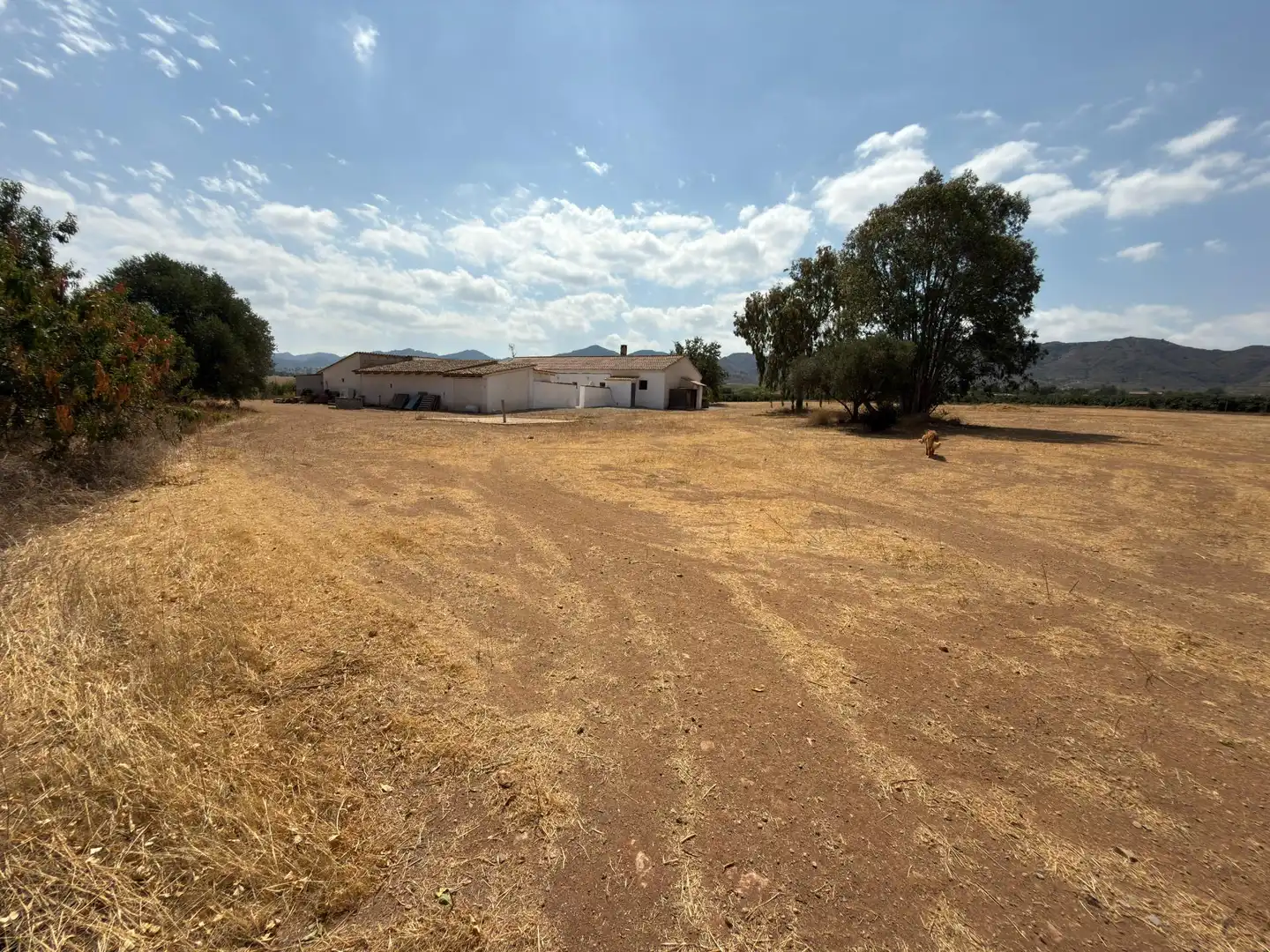 Houses for sale in Lorca  with Private garden, Terrace and Storage room