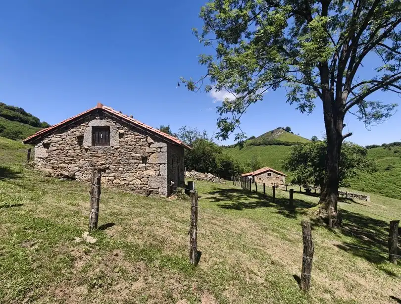 Terreno rustico in vendita a Proaza, imagen 50