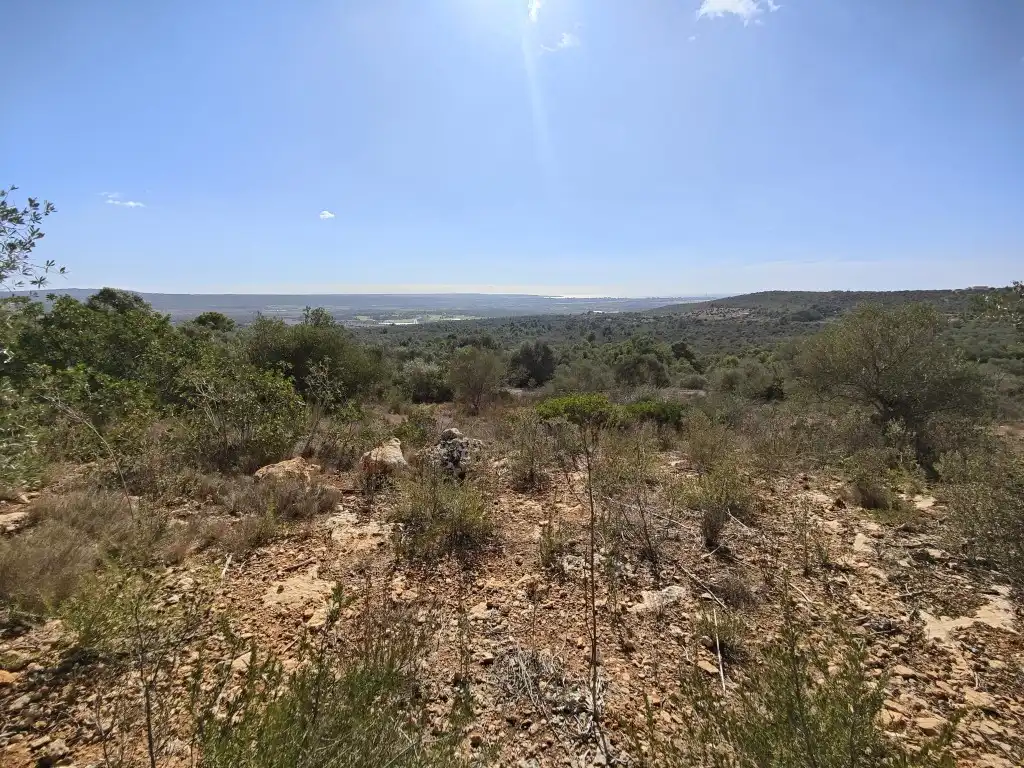 Terreny rústic en venda a Llevant, imagen 17