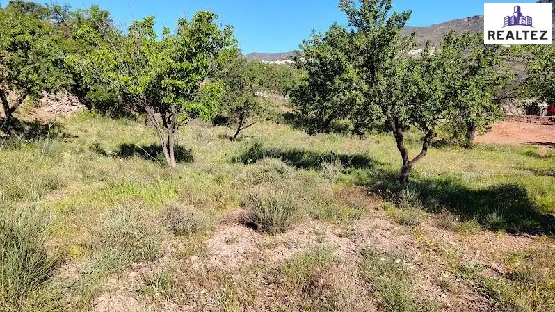 Rural land for sale in Felix, imagen 10