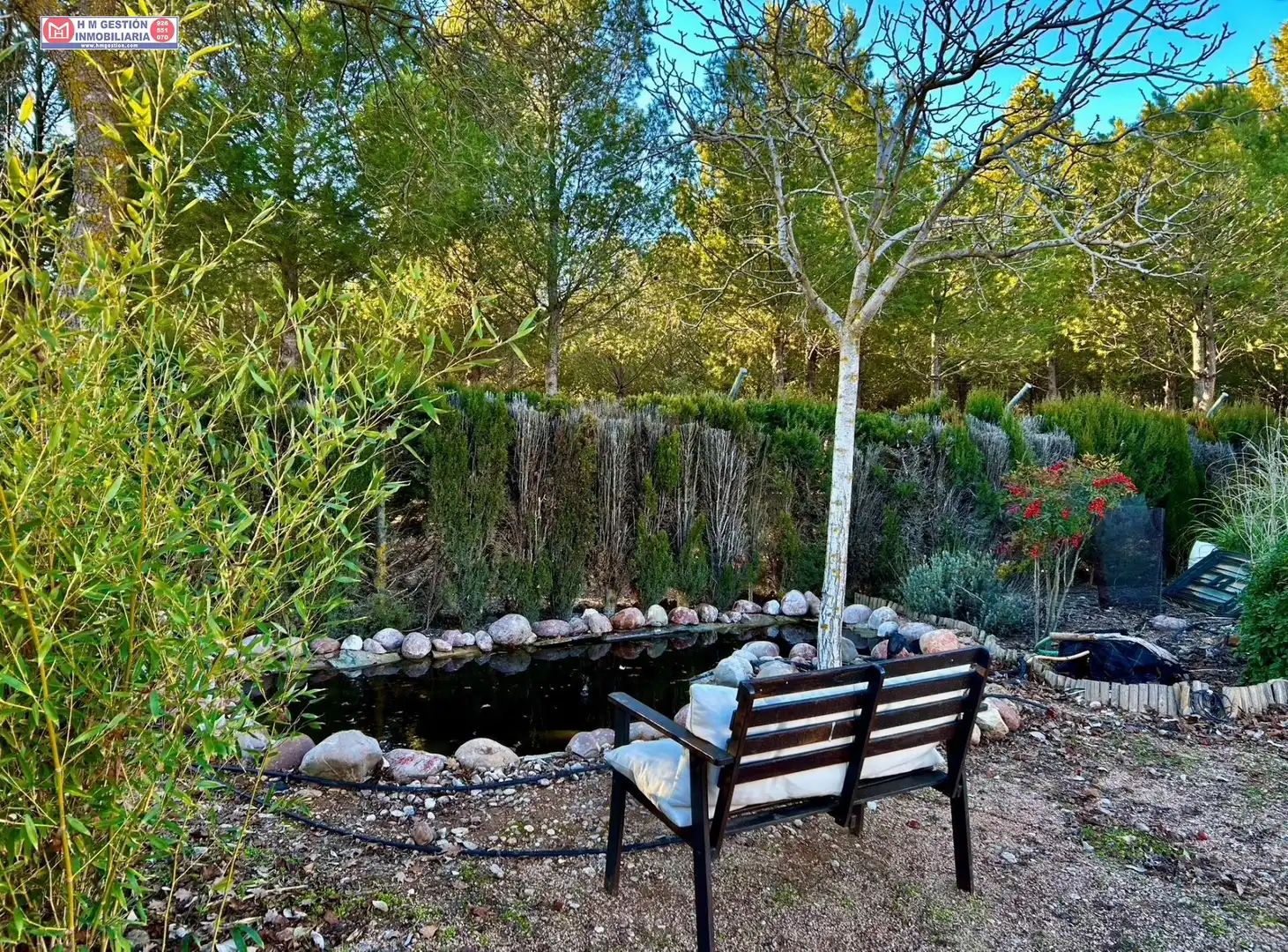 Chalet con piscina en venta en Alcázar de San Juan, imagen 20