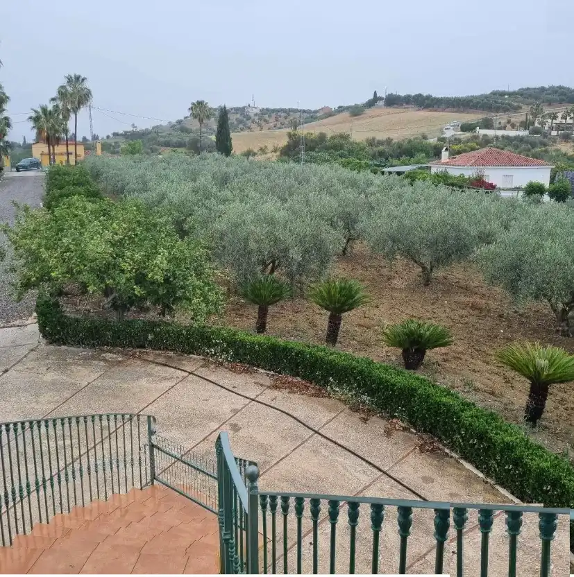 Xalet amb jardí en venda a Coín, imagen 4