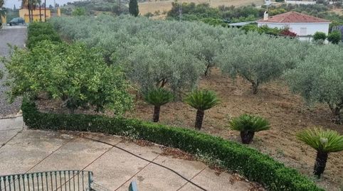 FINCA RUSTICA EN COIN, imagen 4