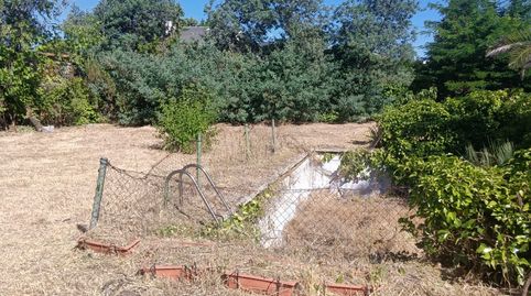 Foto 4 de Residencial en venta en Calle Dos Castillas, 2, El Caño - Maracaibo, Las Rozas de Madrid