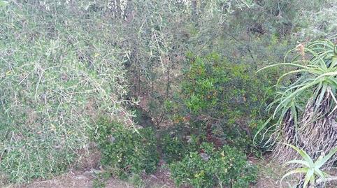 Photo 5 of Residential for sale in Carrer Crisantem, Costa Cunit - Els Jardins - Els Rosers, Tarragona