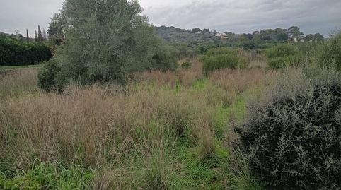 Immagine 3 dell'annuncio