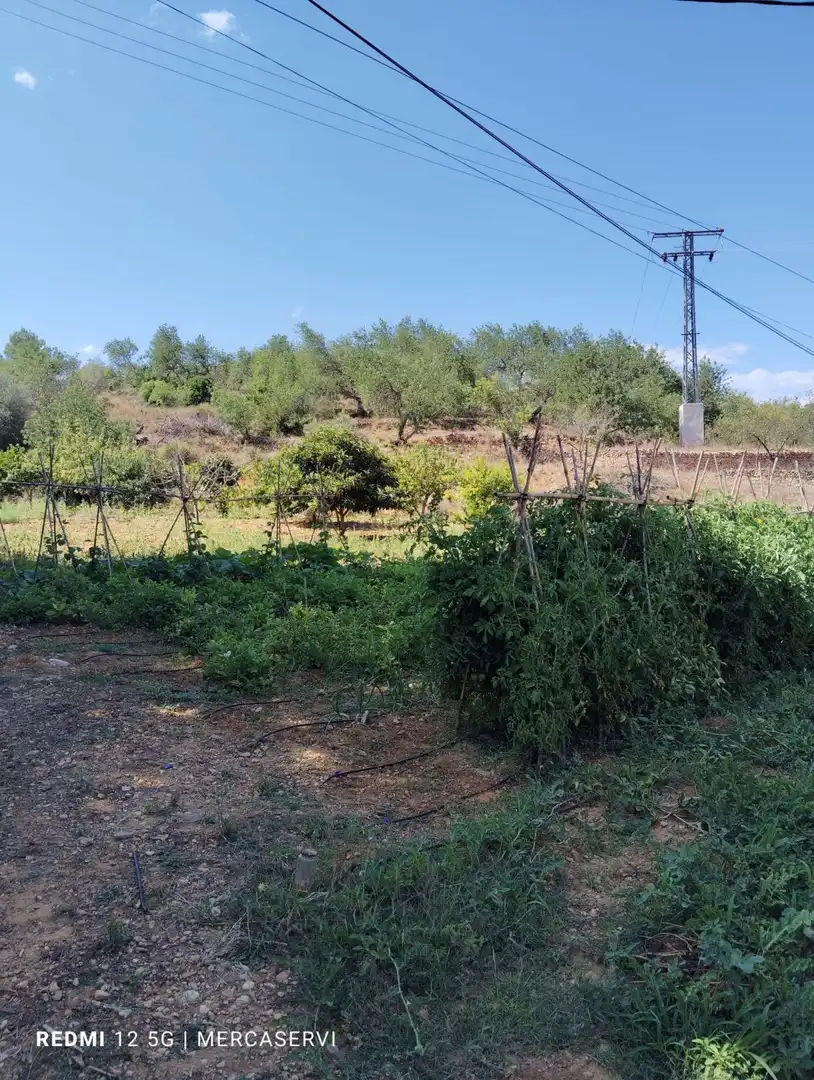 Casa o chalet en venta en Les Coves de Vinromà con Terraza