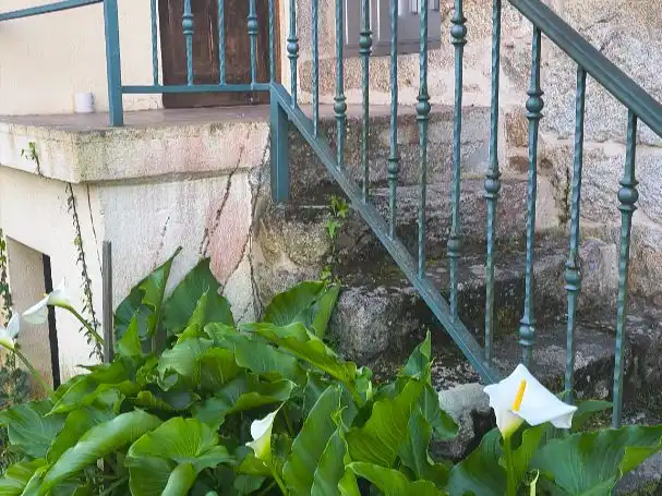 Jardí de Casa o xalet en venda en A Cañiza   amb Terrassa i Balcó