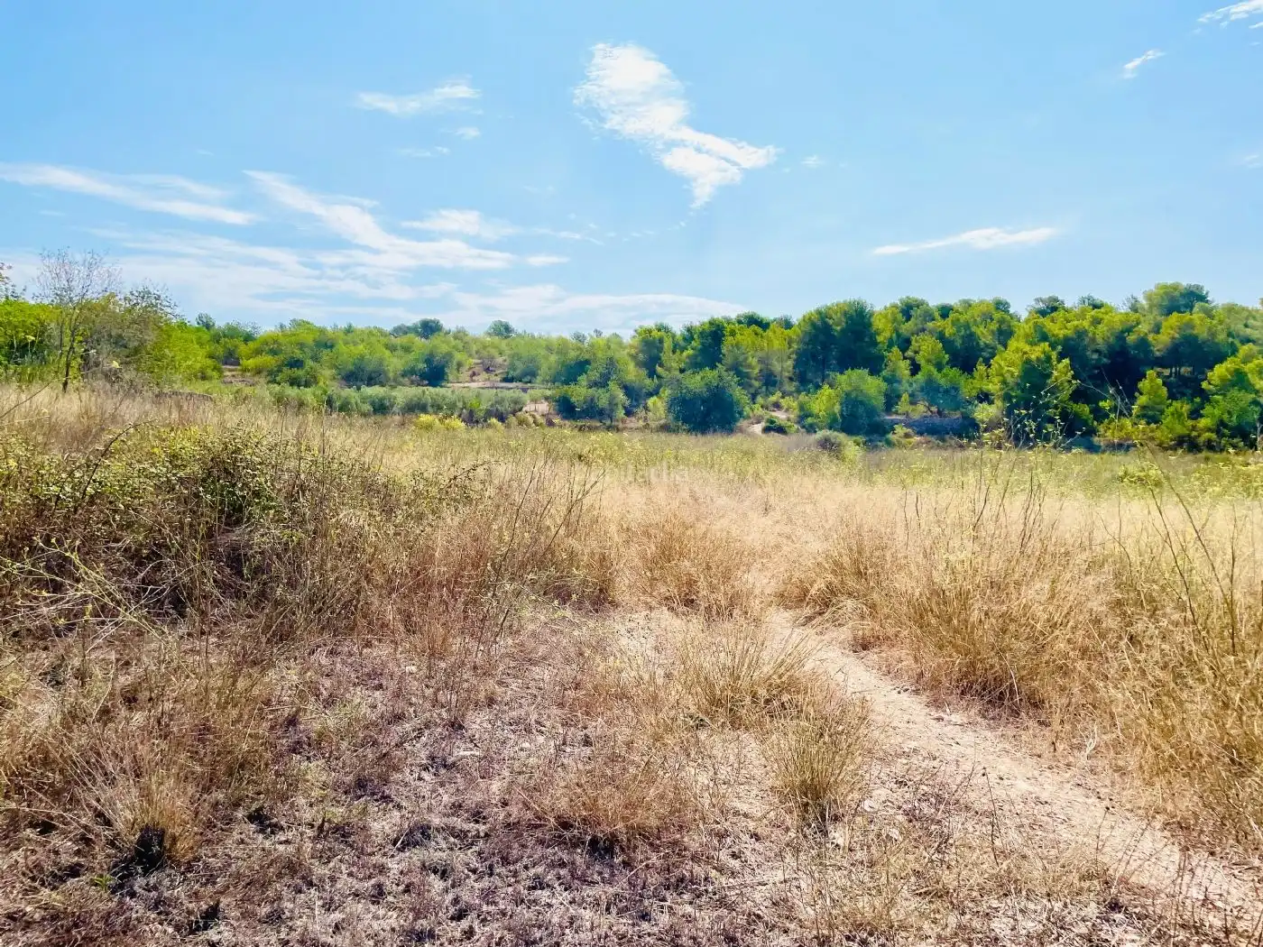 Rural land for sale in Calle Piscina 3305, imagen 9