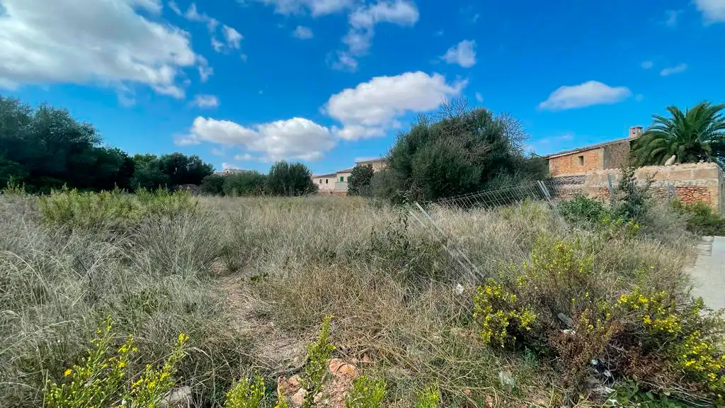 Terreno rustico in vendita a Campos poble, imagen 2
