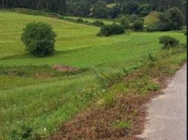 Terrenos y solares en venta en ajo