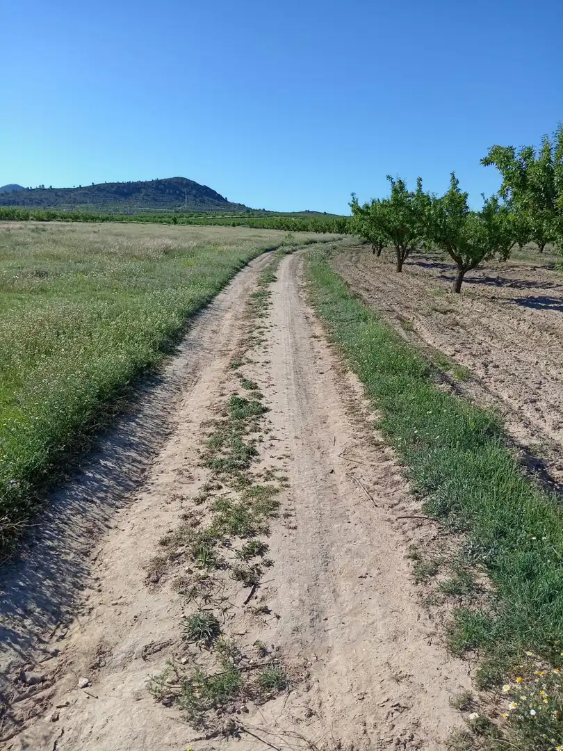 Lands and plots for sale in Ricote