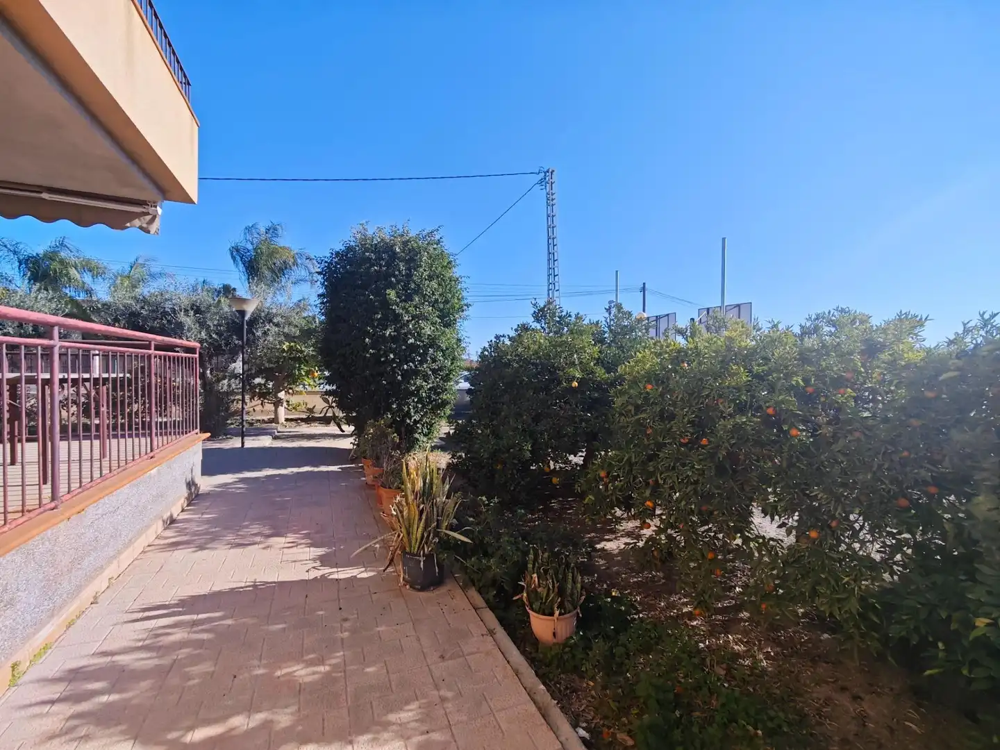 Exterior view of Houses for sale in Murcia  with Terrace