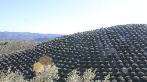Foto 2 de Finca rústica en venda a Alcaracejos, Córdoba