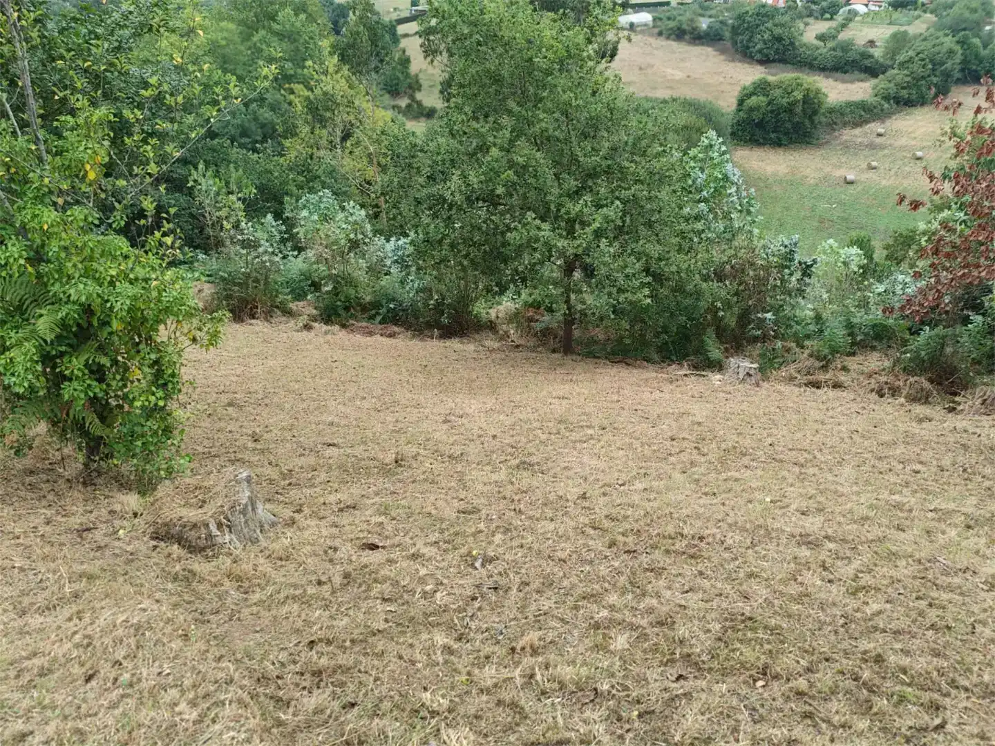 Casa o xalet en venda en Castrillón