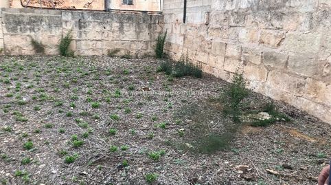 solar centrico en Muro, immagine 4