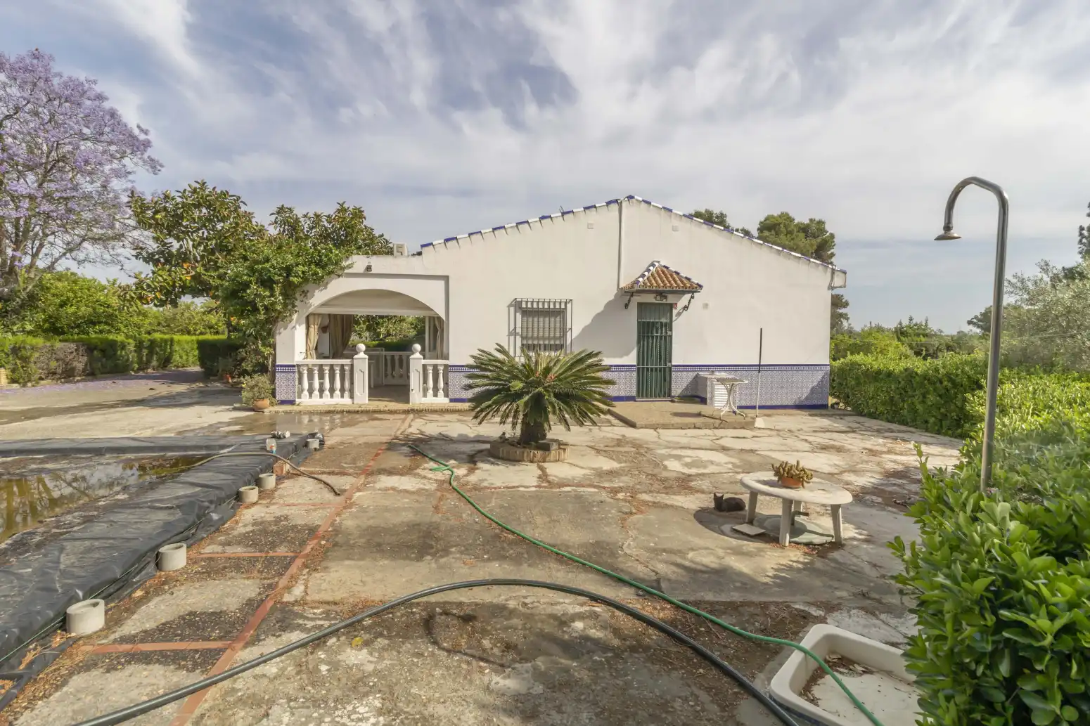 Jardín de Casa o chalet en venta en Carmona con Piscina